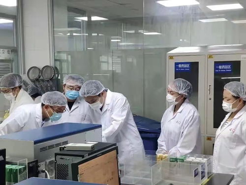 食品生產(chǎn)安全監(jiān)管的重要性與衡水實(shí)踐