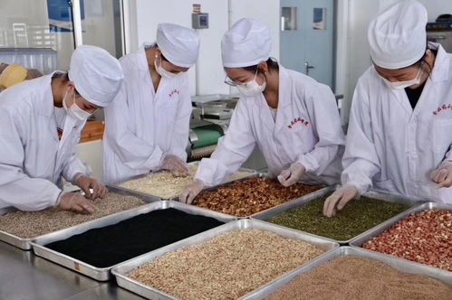 食品藥品學(xué)院月餅生產(chǎn)實(shí)訓(xùn)圓滿結(jié)束，學(xué)生實(shí)踐能力顯著提升