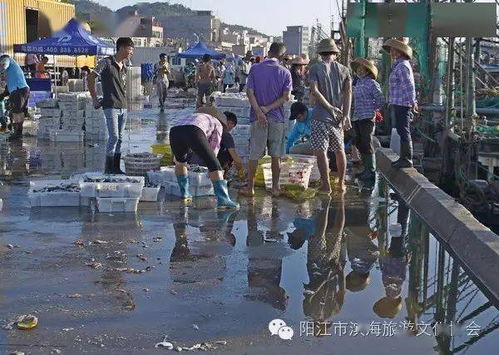 投資1.3億元，廣東陽江閘坡水產(chǎn)品交易物流中心將成新熱點