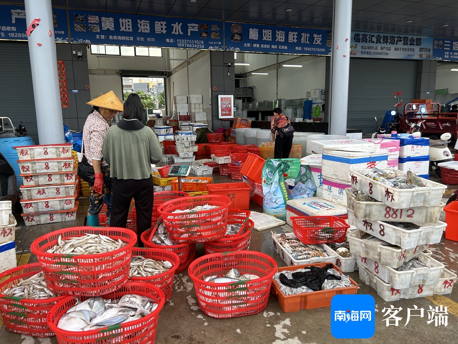 臨高漁港 滿載而歸交易忙，水產市場購銷旺