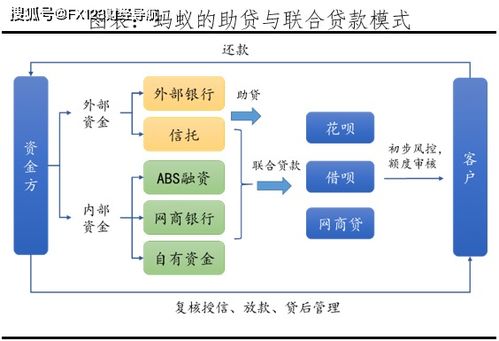螞蟻集團發展歷程 股權架構 財務表現 業務版圖 運營模式 海外布局